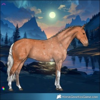 Horse Color:Silver Bay Tobiano