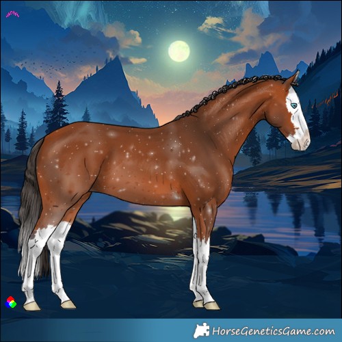 Horse Color:Bay Splash 