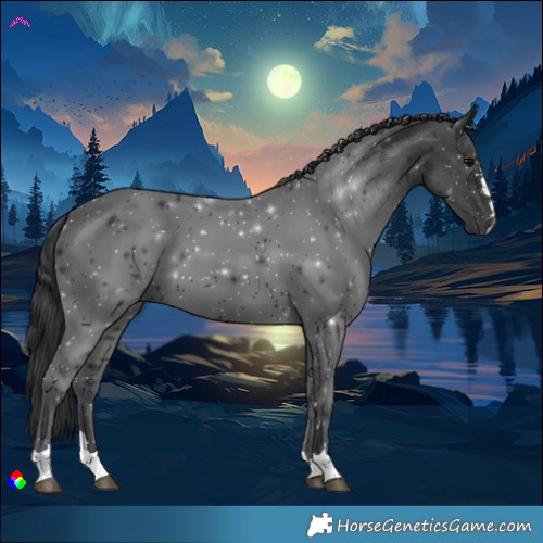 Horse Color:Black 