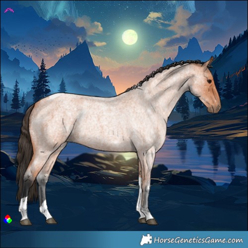 Horse Color:Bay Roan Tobiano 
