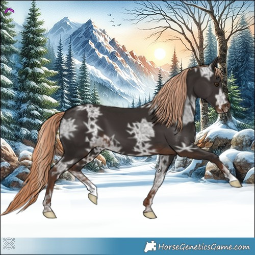 Horse Color:Liver Chestnut Ice 