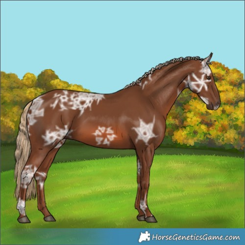 Horse Color:Chestnut Ice 