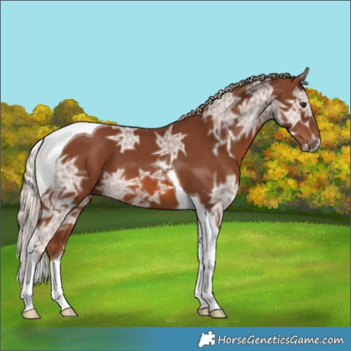 Horse Color:Chestnut Ice Tobiano 