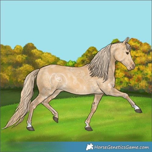 Horse Color:Palomino Ice Dun 