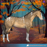 Horse Color:Powder White Buckskin Dun Splash Rabicano