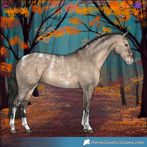 Horse Color:Powder White Brown Dun Sabino Rabicano