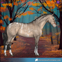 Horse Color:Powder White Brown Dun Sabino Rabicano 