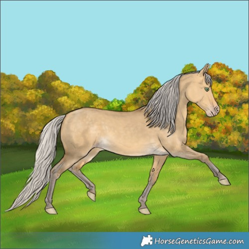 Horse Color:Silver Amber Cream Champagne Dun 
