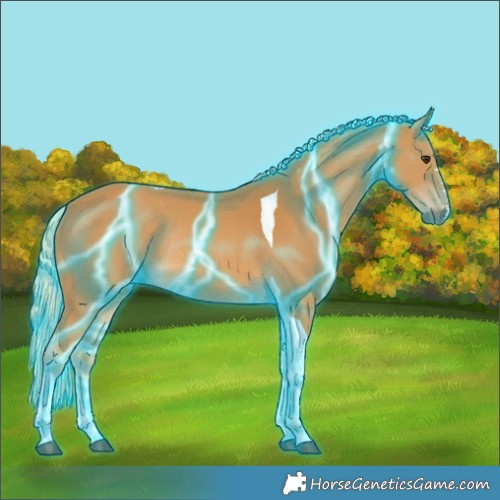 Horse Color:Thunderstruck Palomino Tobiano Rabicano 