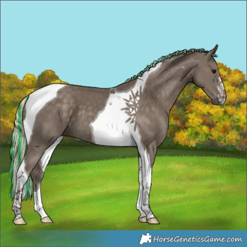 Horse Color:Painted Silver Smoky Black Tobiano 