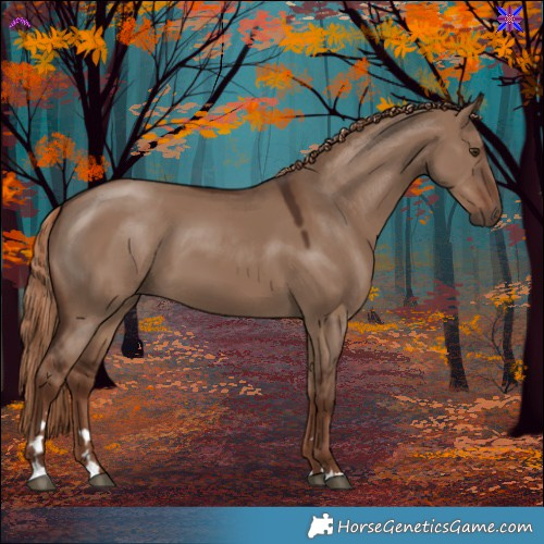 Horse Color:Liver Red Dun 