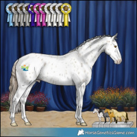 Horse Color:Classic Cream Champagne Roan Splash Appaloosa 