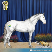 Horse Color:Classic Cream Champagne Roan Splash Appaloosa