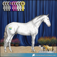 Horse Color:Classic Cream Champagne Roan Splash Appaloosa 