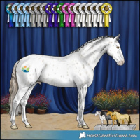 Horse Color:Classic Cream Champagne Roan Splash Appaloosa 