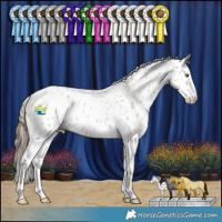 Horse Color:Classic Cream Champagne Roan Splash Appaloosa 