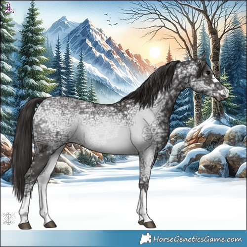 Horse Color:Smoky Black Ice 
