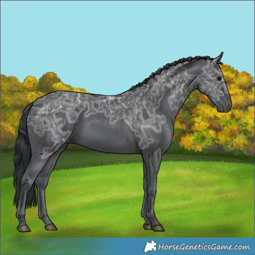 Horse Color:Black Ice 