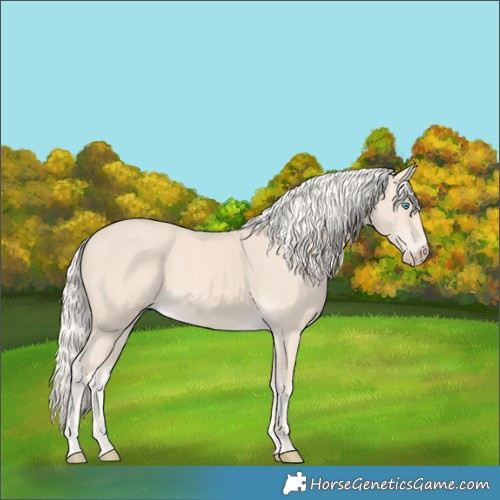 Horse Color:Cremello