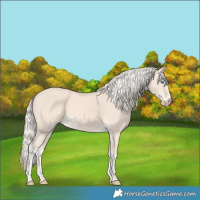 Horse Color:Cremello 