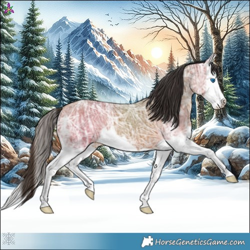 Horse Color:Bay Ice Splash 