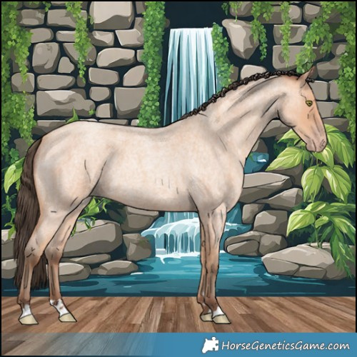 Horse Color:Amber Champagne Roan 