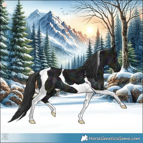 Horse Color:Midnight Black Ice Tobiano