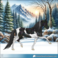 Horse Color:Midnight Black Ice Tobiano