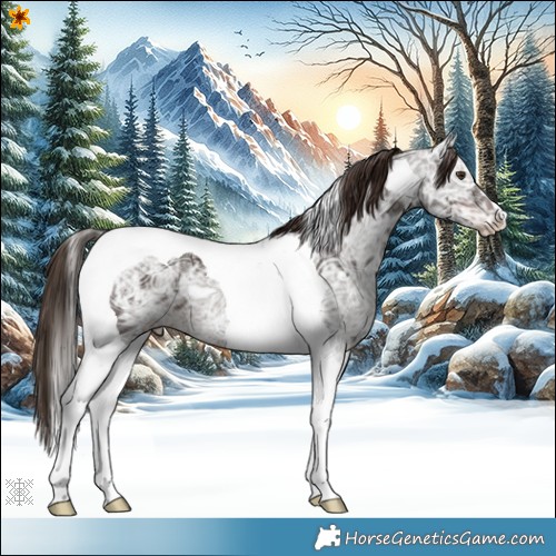 Horse Color:Liver Chestnut Ice Tobiano 