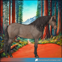 Horse Color:Brown Dun Appaloosa 