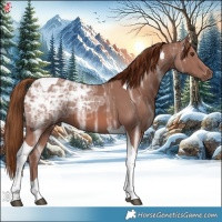 Horse Color:Chestnut Ice Tobiano 