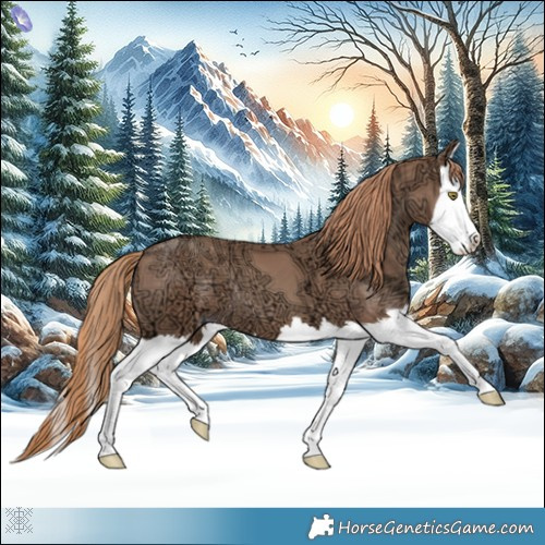 Horse Color:Gold Champagne Ice Splash