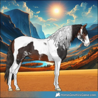 Horse Color:Bay Sabino Tobiano 