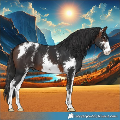 Horse Color:Brown Sabino 