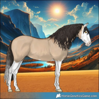 Horse Color:Bay Dun Splash 