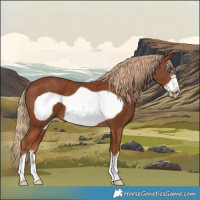 Horse Color:Chestnut Frame