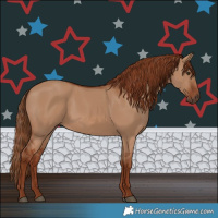 Horse Color:Red Dun 