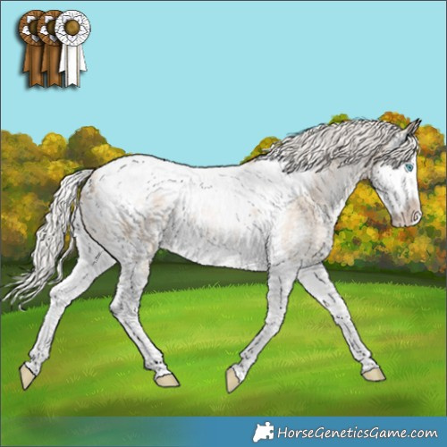 Horse Color:Silver Smoky Black Pearl Sabino Splash Tobiano Appaloosa Rabicano 