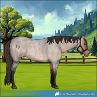 Horse Color:Bay Roan Dun 