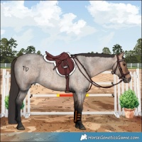 Horse Color:Bay Roan Dun 