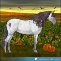 Horse Color:Nacre Blue Ice Roan