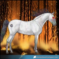 Horse Color:Nacre Blue Ice Roan 