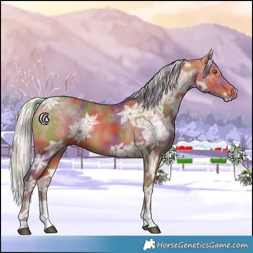 Horse Color:Nacre Silver Bay Ice Tobiano 