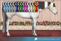 Horse Color:Buckskin Roan Dun Splash Tobiano 