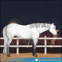 Horse Color:Gray Silver Blue Roan Rabicano