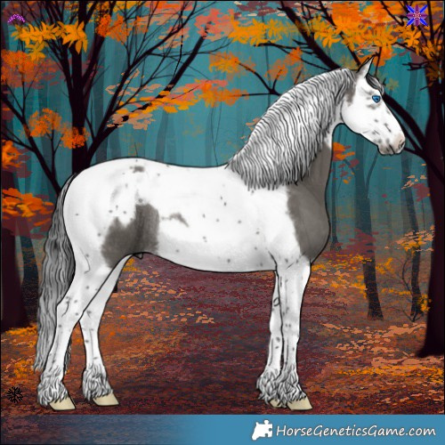 Horse Color:Grullo Splash Tobiano Frame Rabicano 