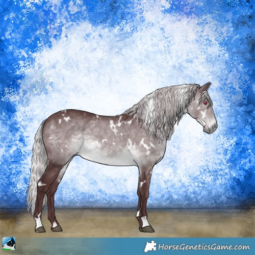 Horse Color:White Spotted Chocolate Silver Brown Chinchilla 