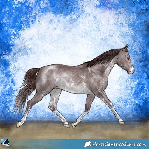 Horse Color:Chocolate Brown Chinchilla Sabino 