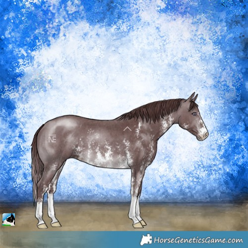 Horse Color:Chocolate Brown Chinchilla Sabino 
