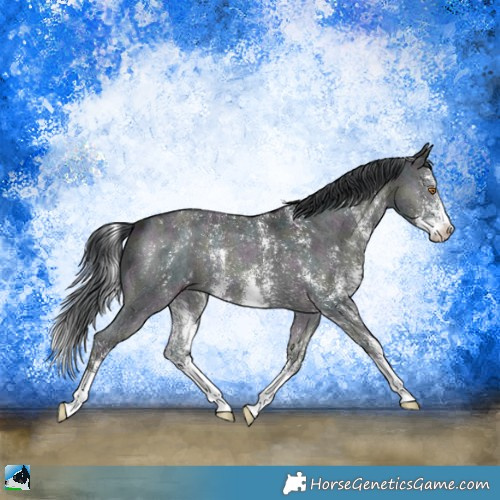 Horse Color:Midnight Brown Chinchilla Ice Onyx Sabino 